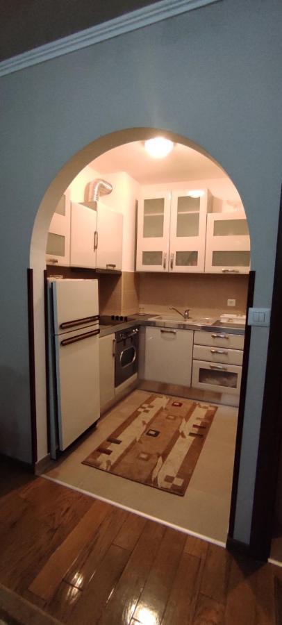 Apartman Tanya Apartment Podgorica Luaran gambar
